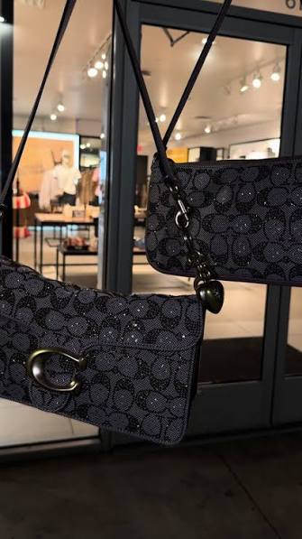 Coach Outlet Teri Mini Crossbody Bag in Signature Canvas